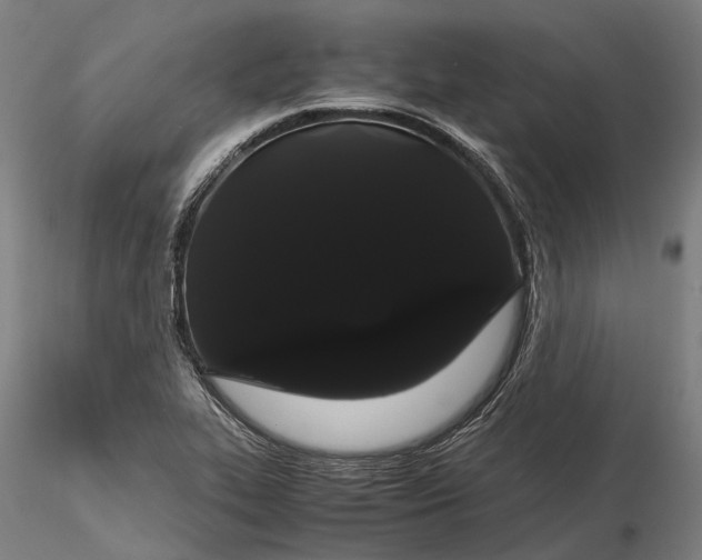 X0000116121319200912071337