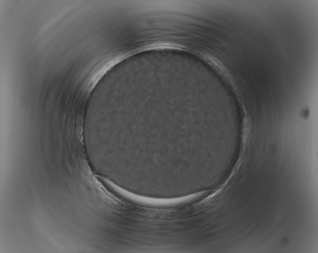 X0000116121321200912071337