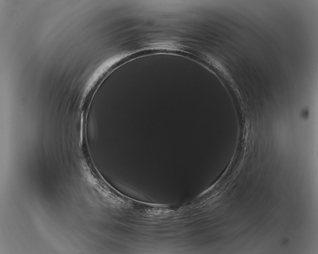 X0000116121323200912071337