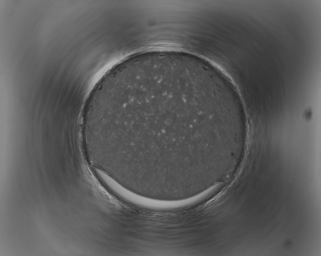 X0000116121325200912071337