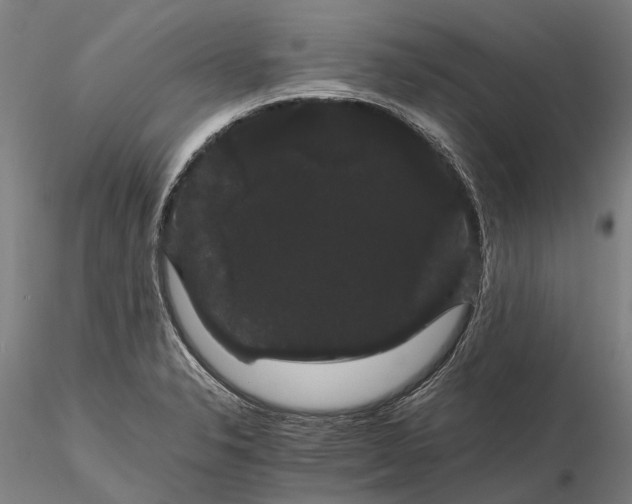 X0000116121326200912071337