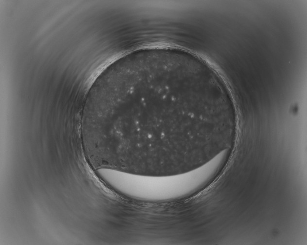 X0000116121329200912071337