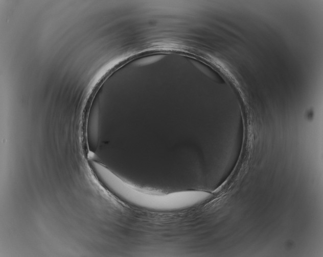 X0000116121331200912071337