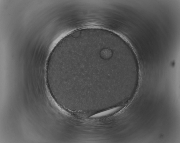 X0000116121333200912071337