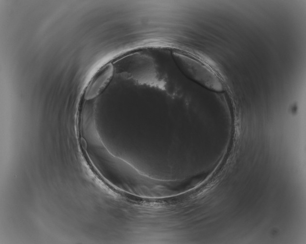 X0000116121334200912071337