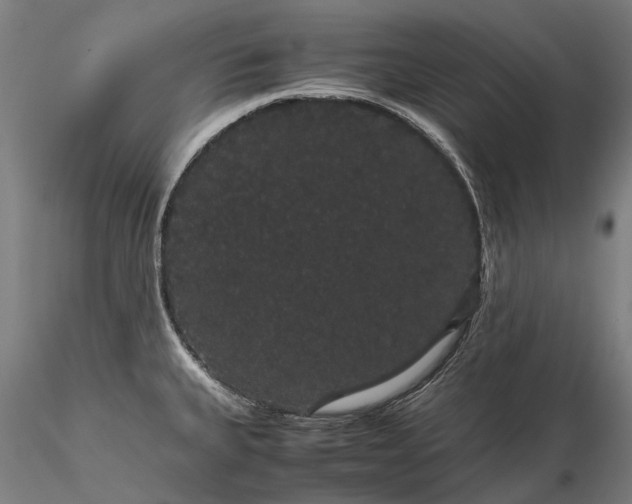 X0000116121335200912071337