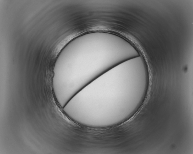 X0000116121337200912071337