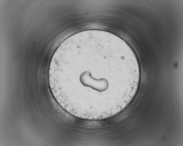 X0000116121338200912071337