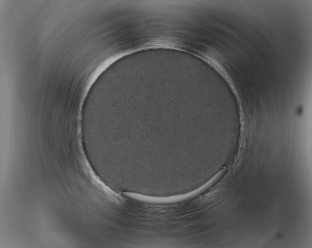 X0000116121339200912071337