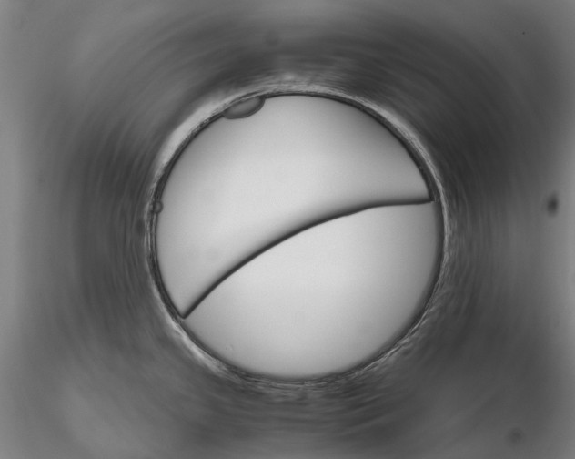 X0000116121341200912071337