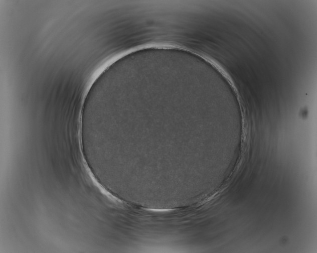 X0000116121343200912071337