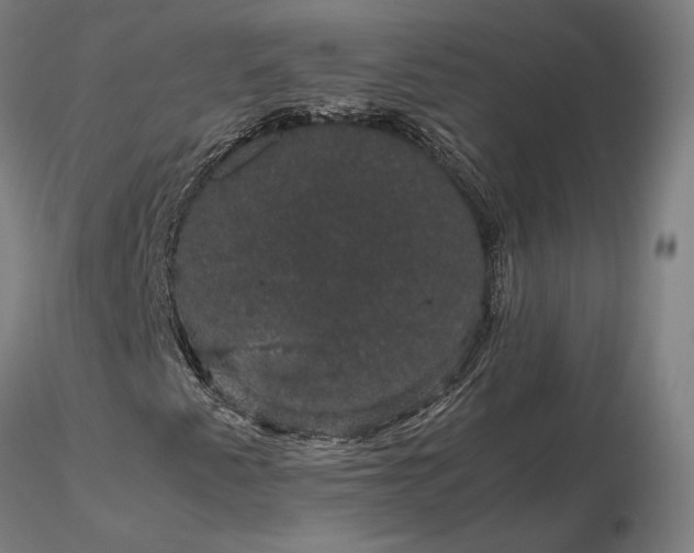 X0000116121345200912071336