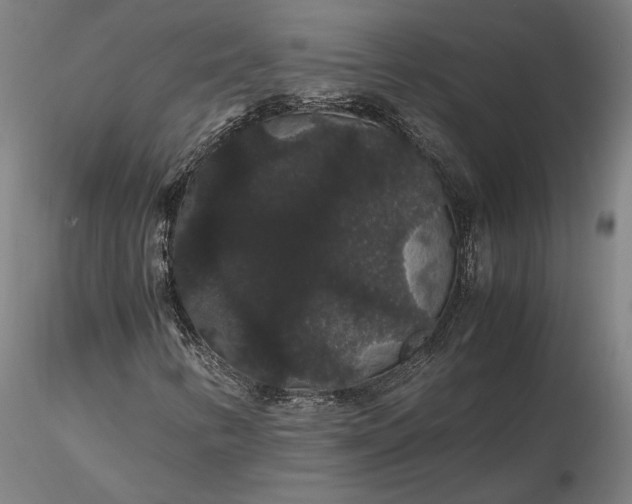 X0000116121346200912071336