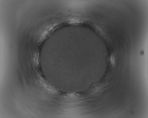 X0000116121348200912071336