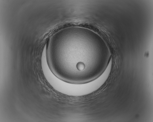 X0000116121349200912071336