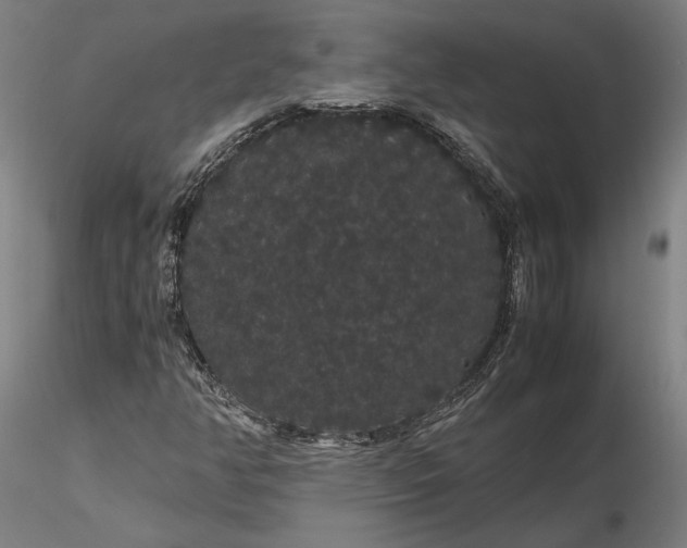 X0000116121350200912071336