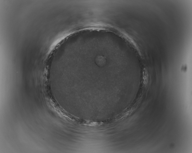 X0000116121352200912071336