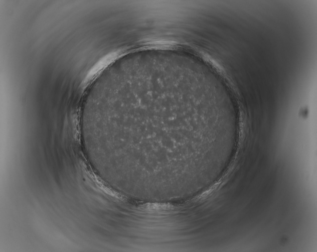 X0000116121354200912071336