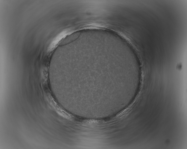 X0000116121355200912071336