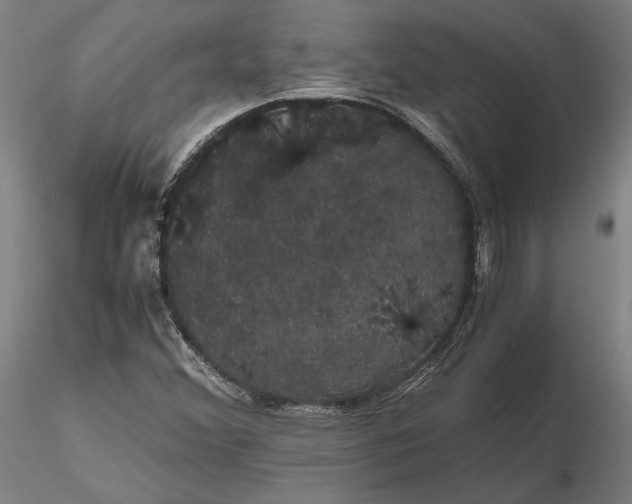 X0000116121356200912071336