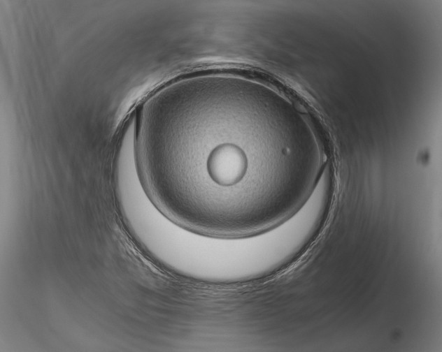 X0000116121357200912071336