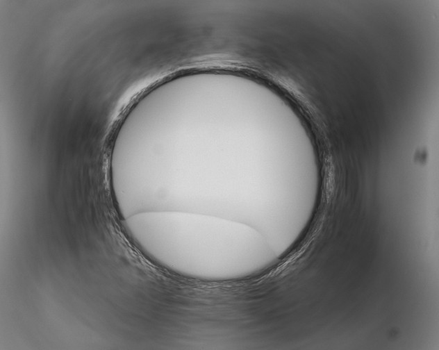 X0000116121358200912071336