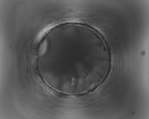 X0000116121359200912071336