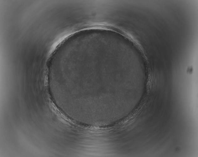 X0000116121360200912071336