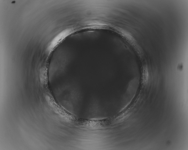 X0000116121362200912071336