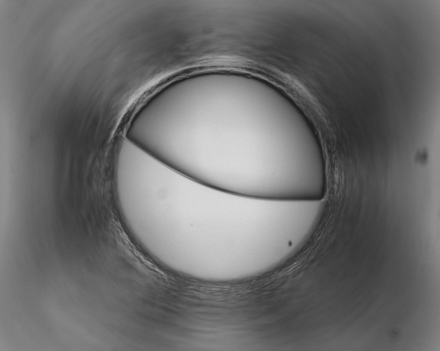 X0000116121364200912071336