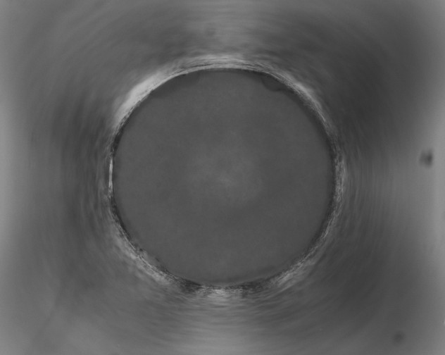 X0000116121365200912071336