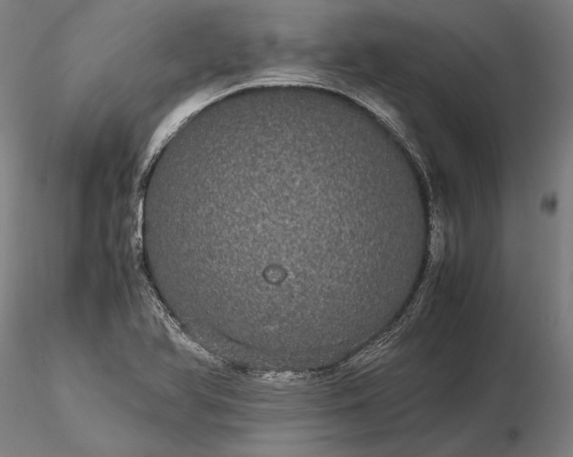 X0000116121366200912071336