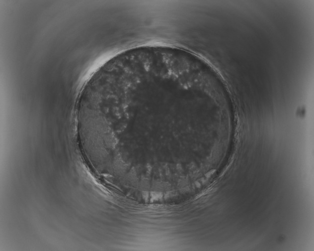 X0000116121367200912071336