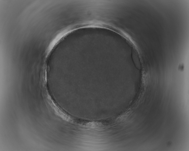 X0000116121368200912071336