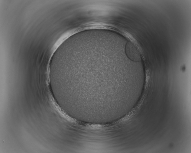 X0000116121370200912071336