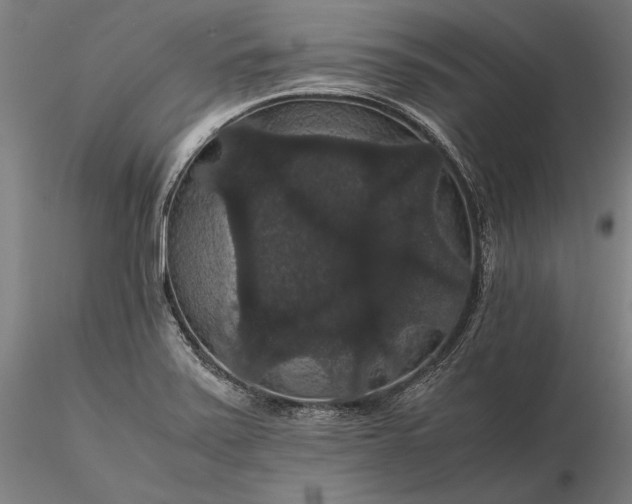 X0000116121371200912071336