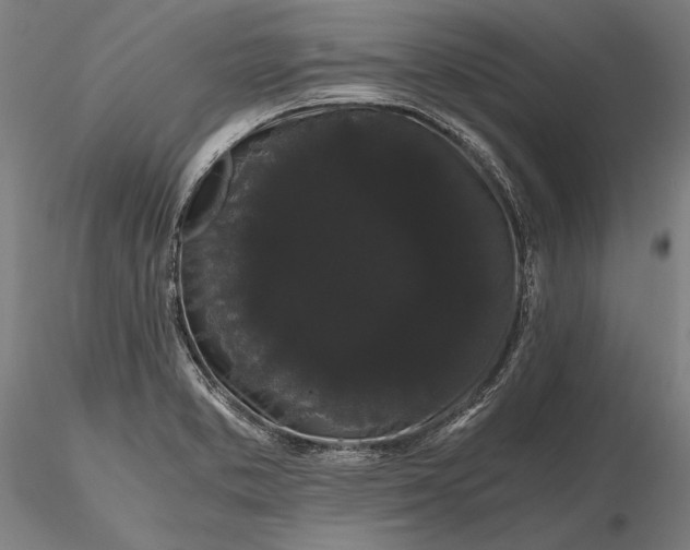 X0000116121373200912071336