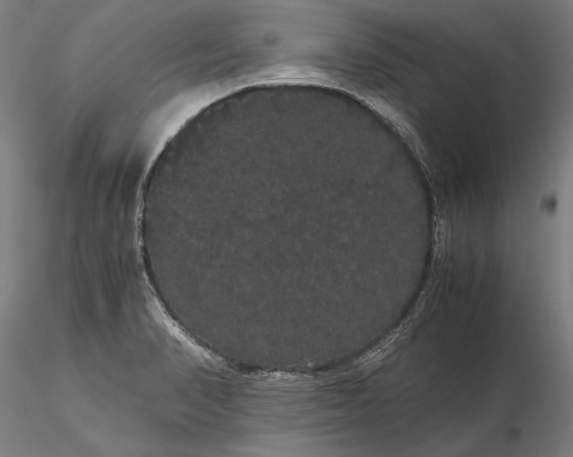 X0000116121374200912071336