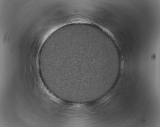 X0000116121375200912071336