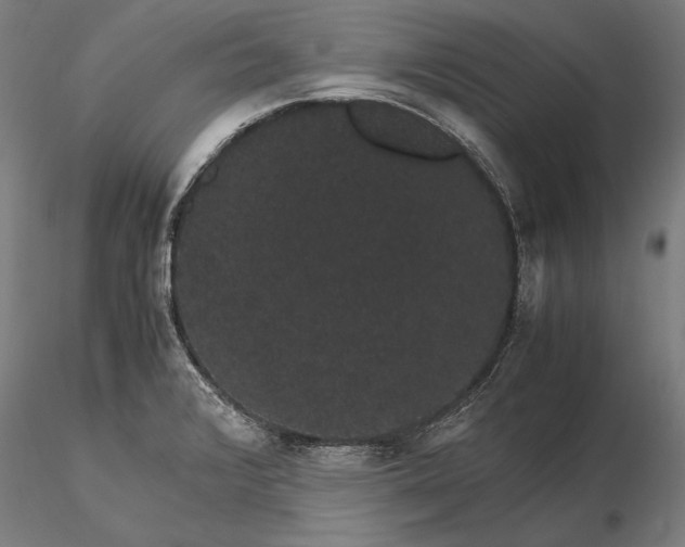 X0000116121376200912071336