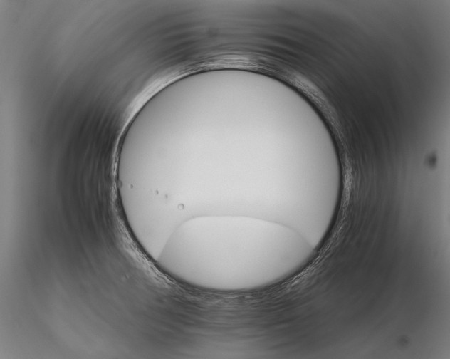 X0000116121378200912071336