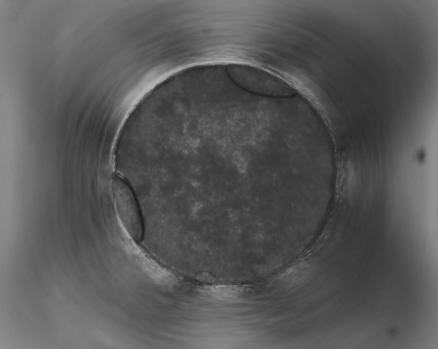 X0000116121380200912071336