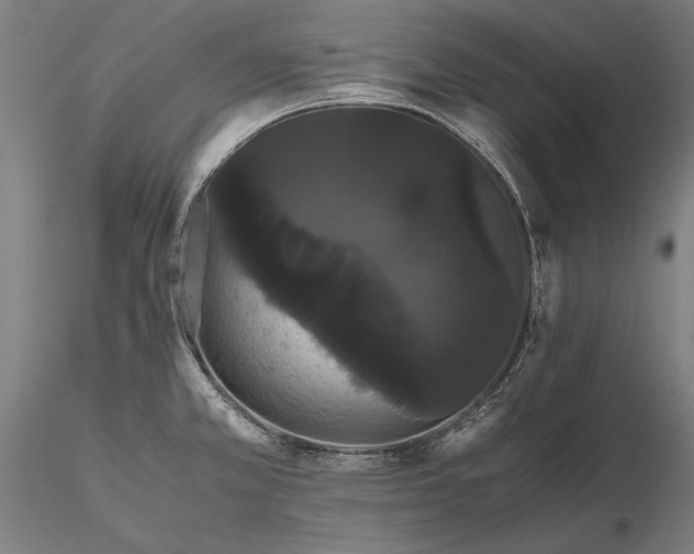 X0000116121381200912071336