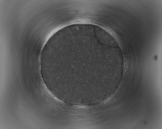 X0000116121382200912071336