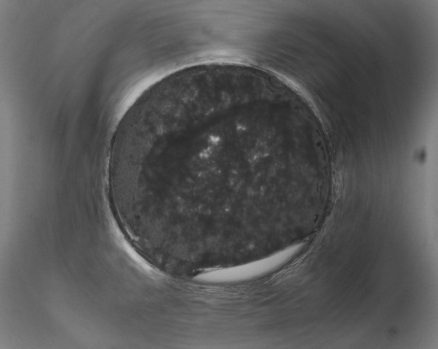 X0000116121383200912071336