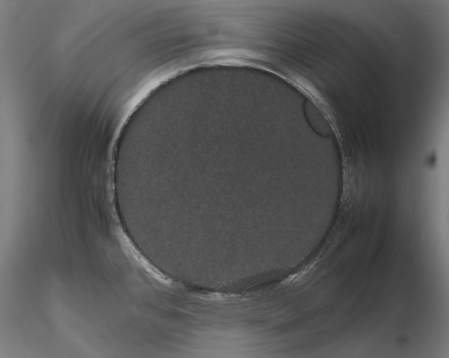 X0000116121384200912071336