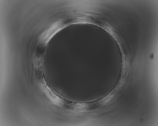 X0000116121385200912071336