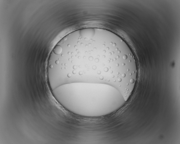 X0000116121386200912071336