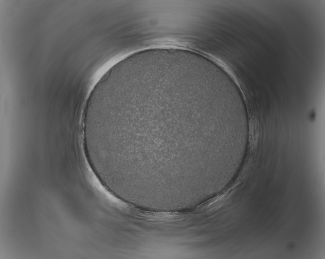 X0000116121387200912071336