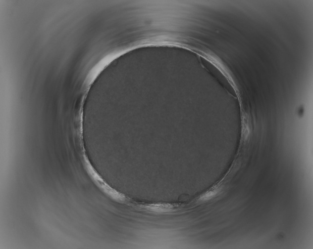 X0000116121388200912071336